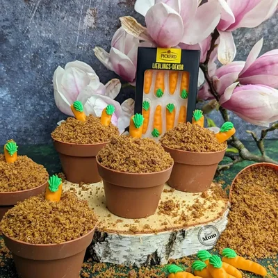 Schoko-Möhren-Muffins