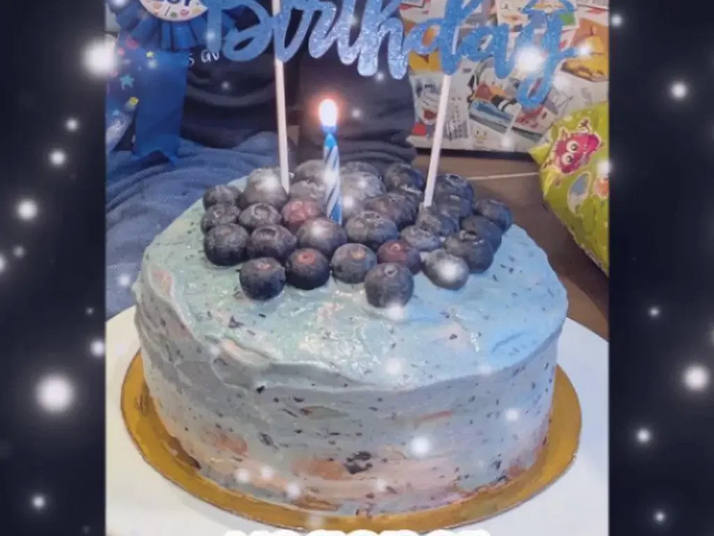 Vegane Blaubeer Torte